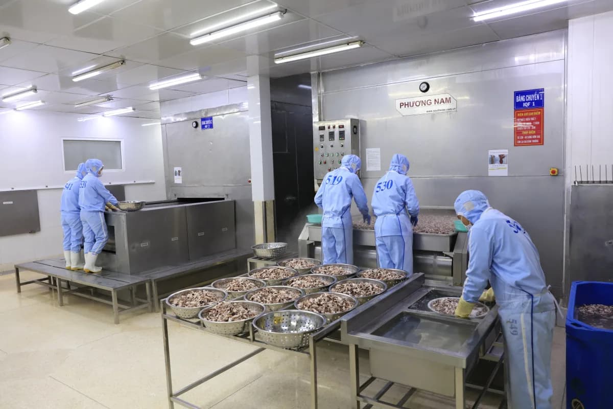 Khu vực xử lý và bảo quản lạnh tại xưởng Thanh Hào Seafood