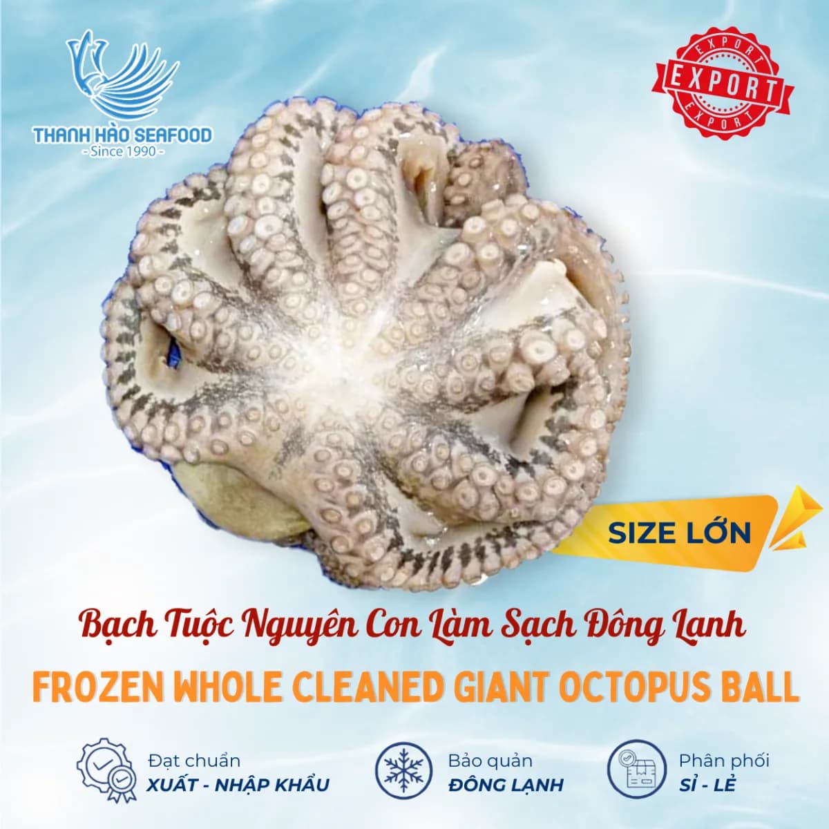 Bạch Tuộc Nguyên Con Làm Sạch Đông Lạnh