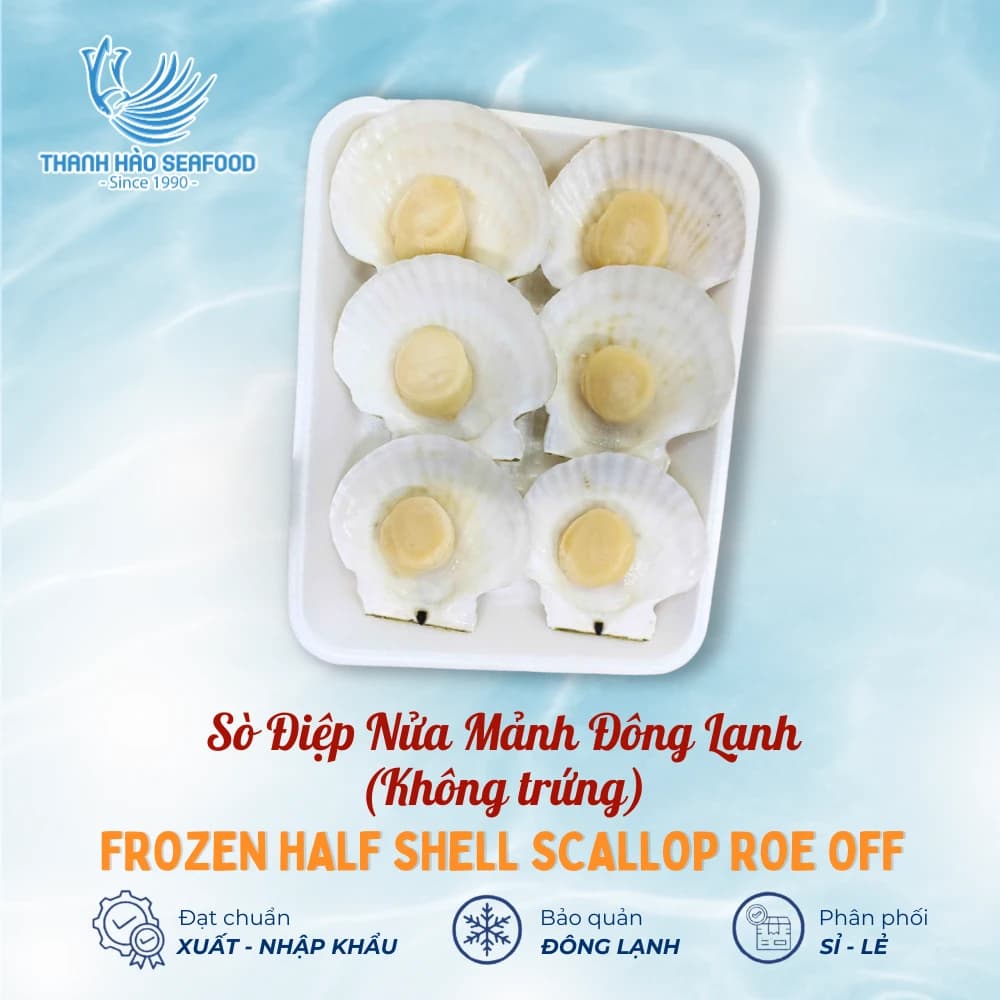 Sò Điệp Nửa Mảnh Đông Lạnh (Không trứng)