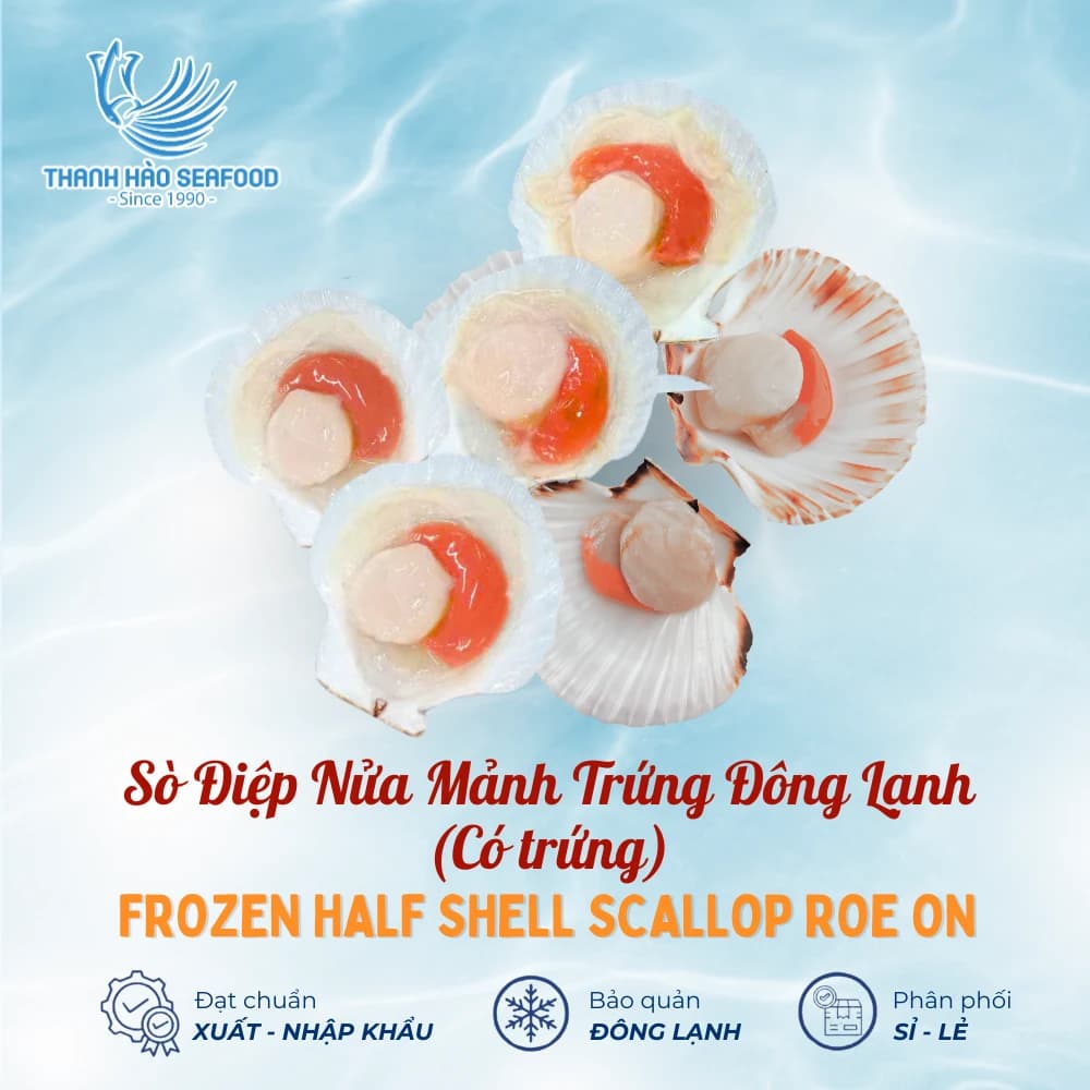 Sò Điệp Nửa Mảnh Trứng Đông Lạnh (Có trứng)