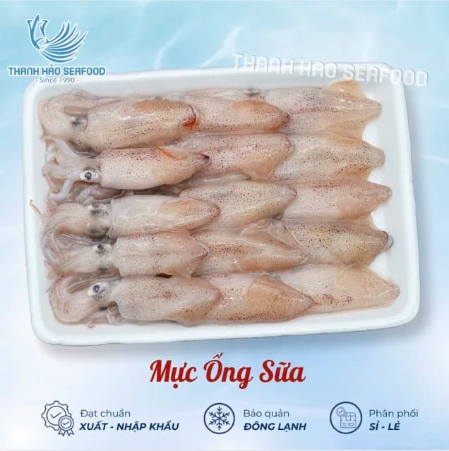 Mực ống sữa